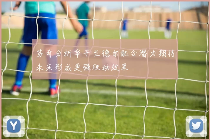 芬奇分析华子兰德尔配合潜力期待未来形成更强联动效果