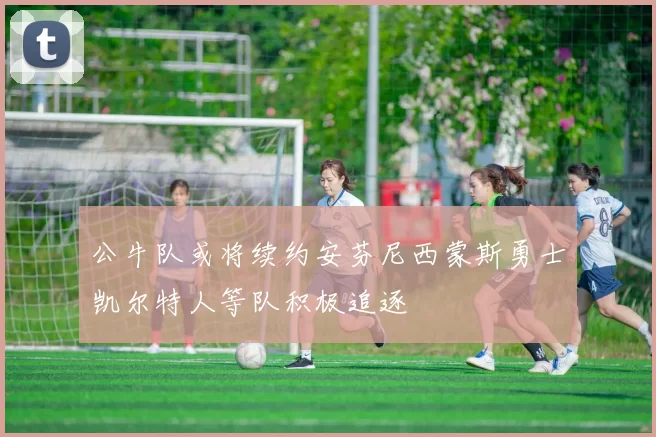 公牛队或将续约安芬尼西蒙斯勇士凯尔特人等队积极追逐